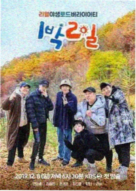 奔跑吧2026
